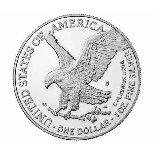 2022 S 1oz Silver Eagle  Proof - with Original Govt Packaging