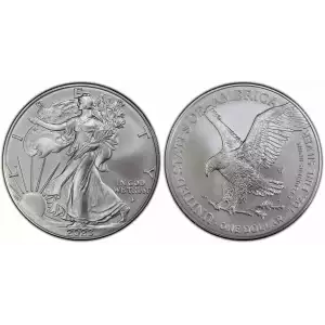 2023 1oz American Silver Eagle