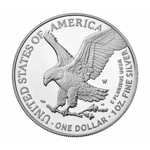 2023 1oz American Silver Eagle (3)