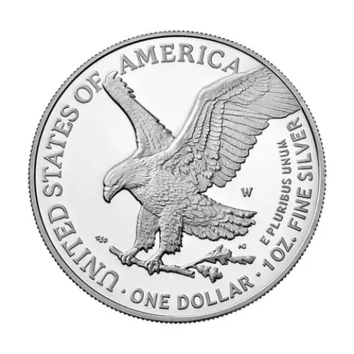 2023 1oz American Silver Eagle (3)