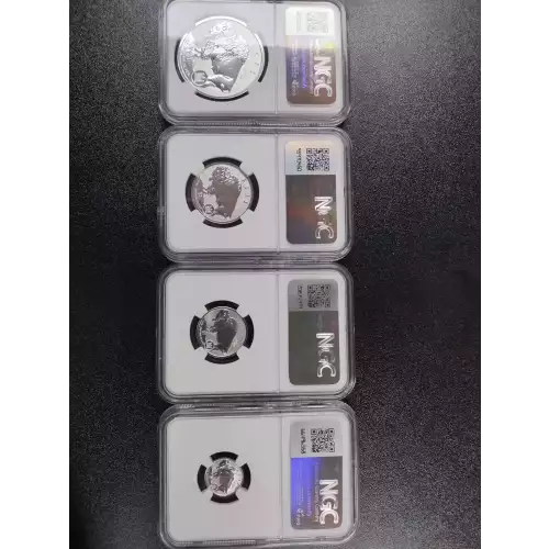 2023 1oz Fractional Buffalo Set First Day of Issue (3)