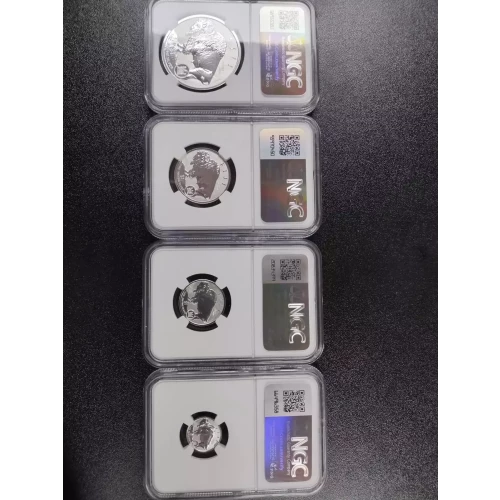 2023 1oz Fractional Buffalo Set First Day of Issue (3)
