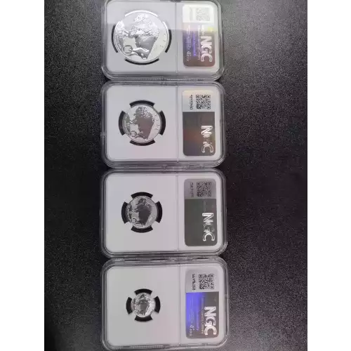 2023 1oz Fractional Buffalo Set First Day of Issue (2)