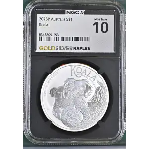 2023P Koala (2)