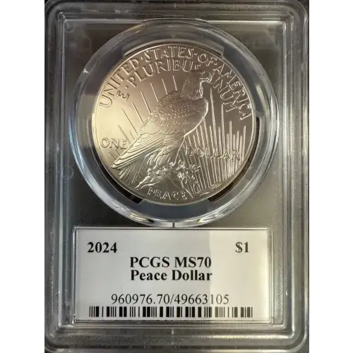 2024 $1 Peace Dollar Ultra Breaks (2)