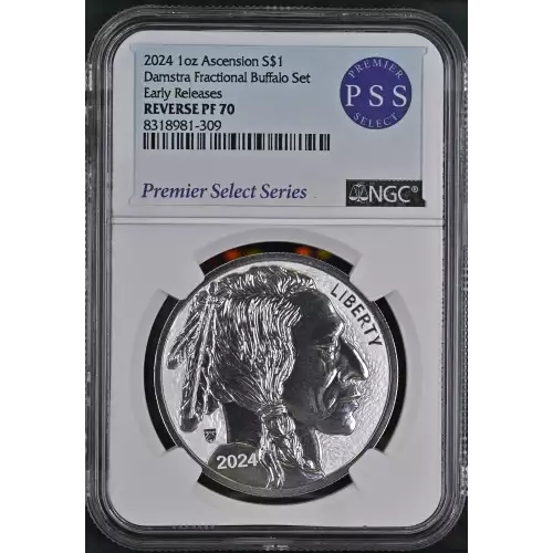 2024 1oz Damstra Frac. Buffalo Set Early Releases (2)