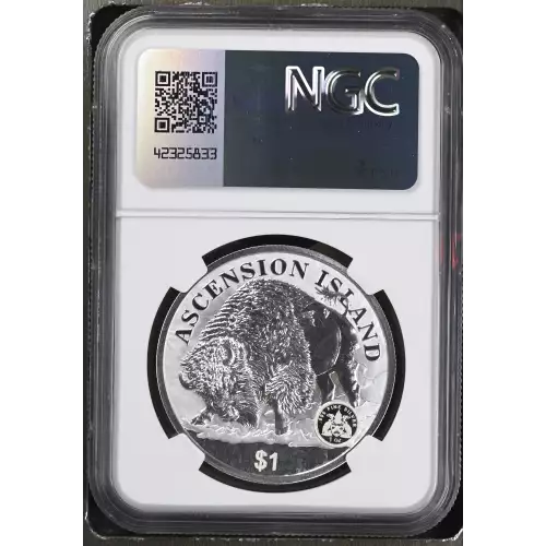 2024 1oz Damstra Frac. Buffalo Set Early Releases (3)