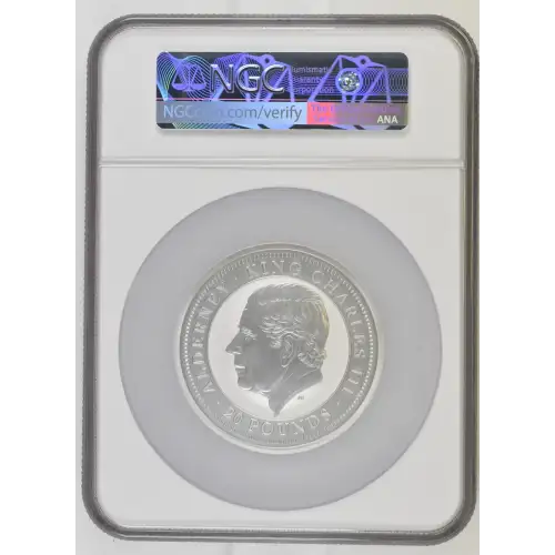 2024 Bald Eagle-First Releases Ultra-High Relief (3)