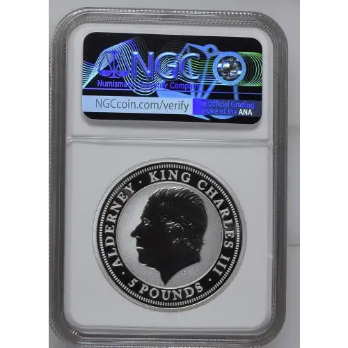 2024 Bald Eagle-First Releases Ultra-High Relief ULTRA CAMEO (3)