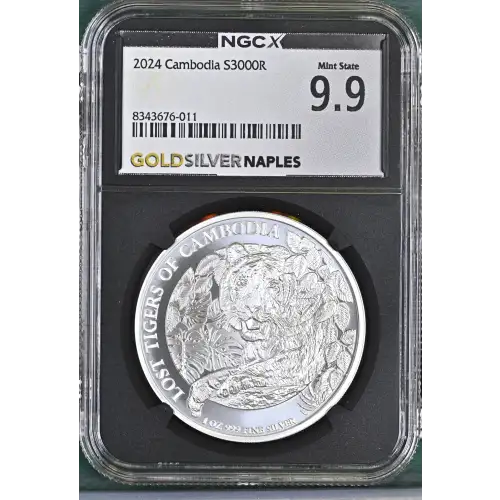 2024 Lost Tigers of Cambodia (2)