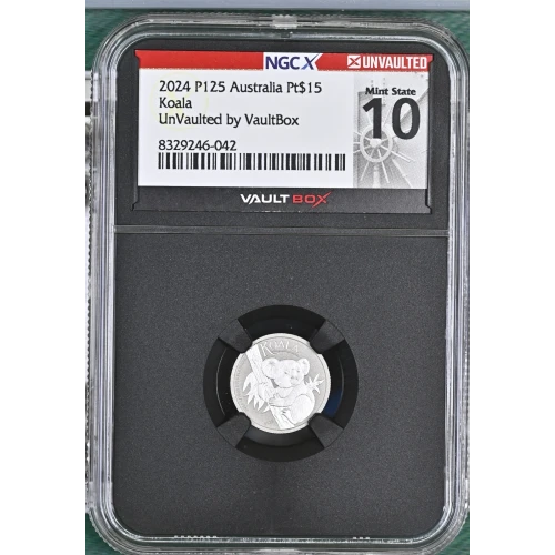 2024 P125 Koala (2)