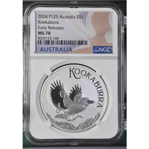 2024 P125 Kookaburra Early Releases (2)