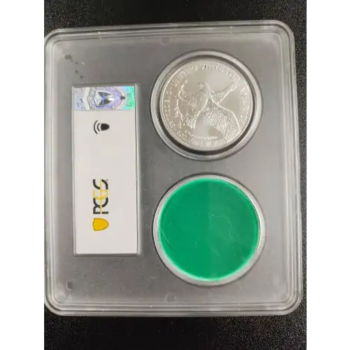 2025 $1 Silver Eagle With Box Fragment