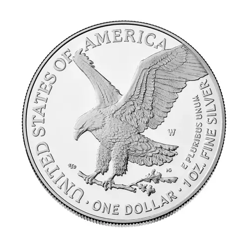2025 W 1oz Silver Eagle  Proof - with Original Govt Packaging  (2)