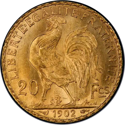 Any Year Gold French 20 Franc (6)