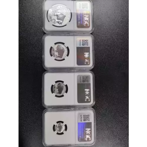 FIJI Silver DOLLAR (4)