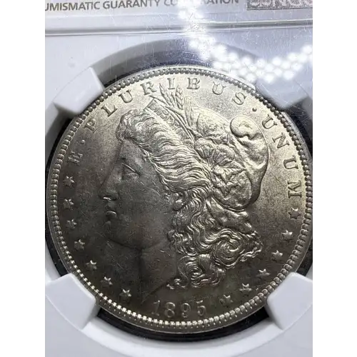 MODERN MORGAN/PEACE Silver Dollar (2)