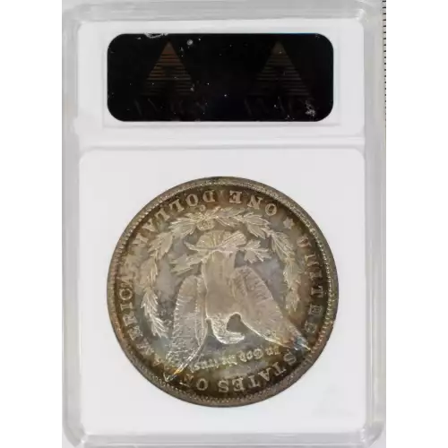 Morgan Silver Dollar