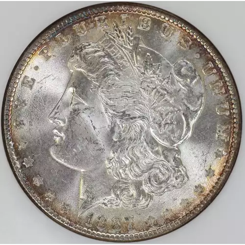 Morgan Silver Dollar