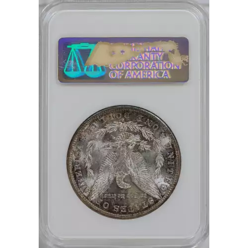 Morgan Silver Dollar