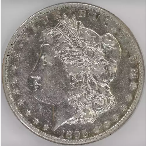 Morgan Silver Dollar