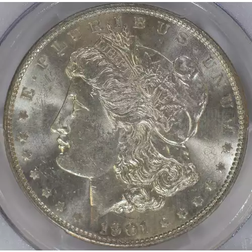 Morgan Silver Dollar