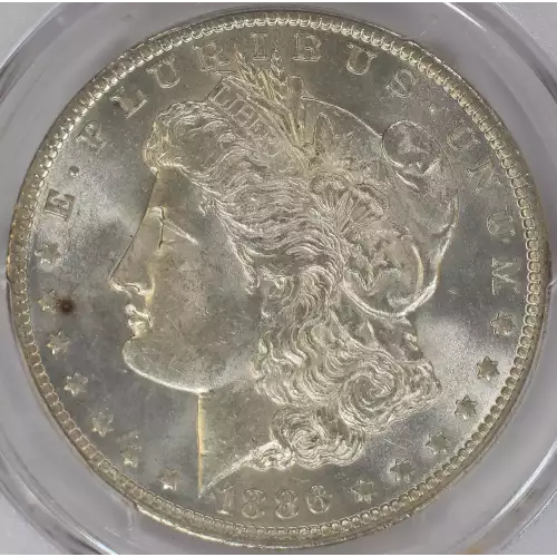 Morgan Silver Dollar