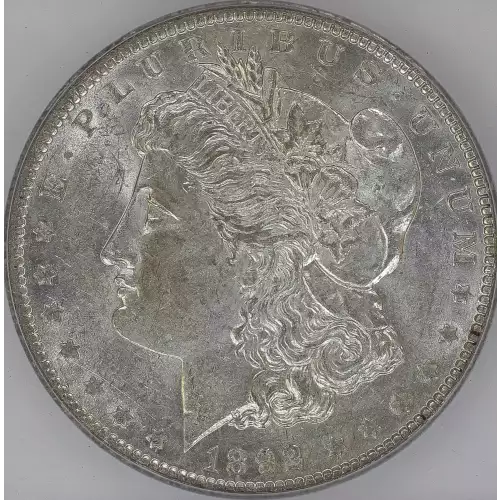 Morgan Silver Dollar