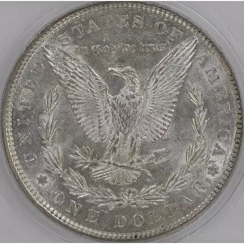 Morgan Silver Dollar