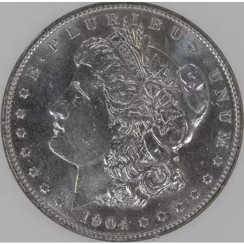 Morgan Silver Dollar