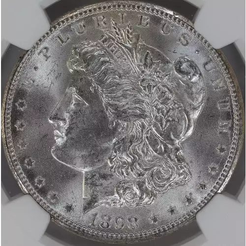 Morgan Silver Dollar