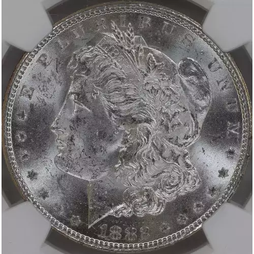 Morgan Silver Dollar