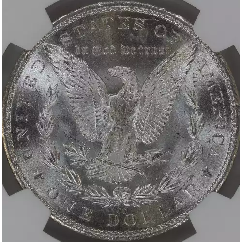 Morgan Silver Dollar