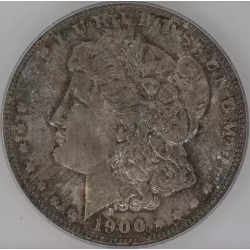 Morgan Silver Dollar