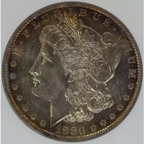 Morgan Silver Dollar