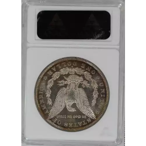 Morgan Silver Dollar