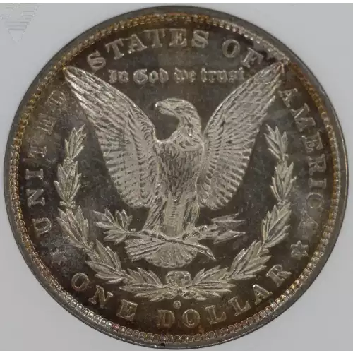 Morgan Silver Dollar