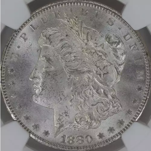 Morgan Silver Dollar