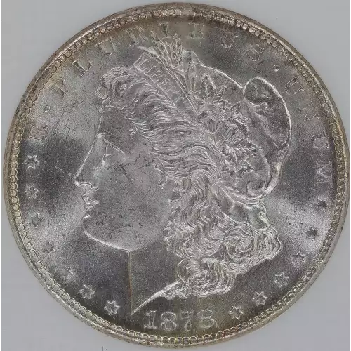 Morgan Silver Dollar (2)