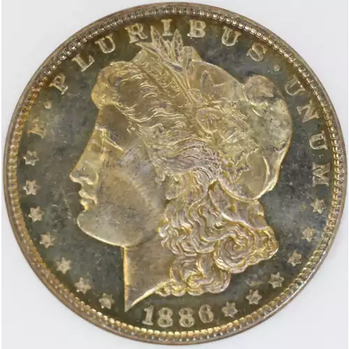 Morgan Silver Dollar