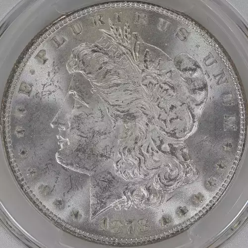 Morgan Silver Dollar