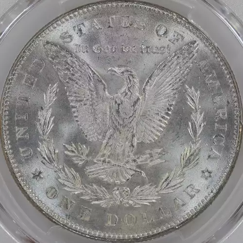 Morgan Silver Dollar