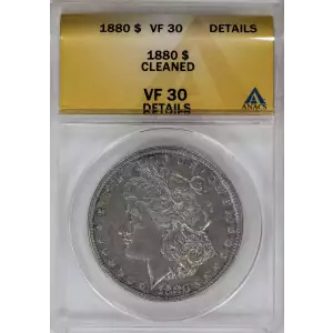 Morgan Silver Dollar