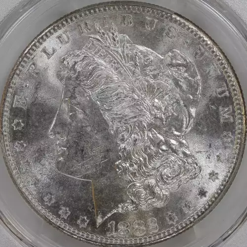 Morgan Silver Dollar