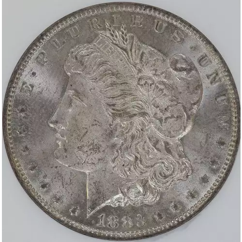 Morgan Silver Dollar