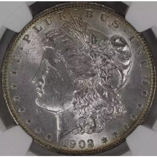 Morgan Silver Dollar