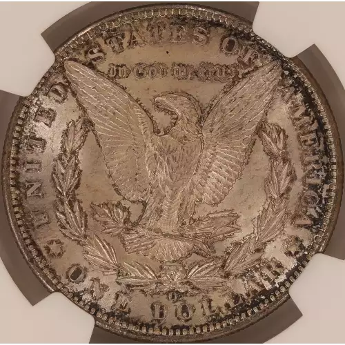 Morgan Silver Dollar