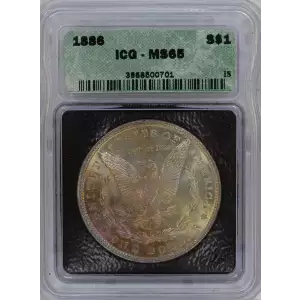 Morgan Silver Dollar