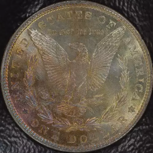 Morgan Silver Dollar