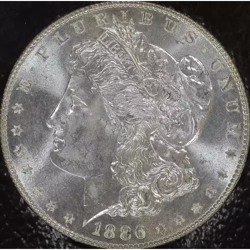 Morgan Silver Dollar